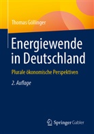 Thomas Göllinger - Energiewende in Deutschland