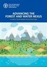 Ute Eberhardt, Food And Agriculture Organization - Advancing the forest and water nexus