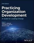 Steve Cady, Jackie Stavros, William J Rothwell, Jackie Stavros, Steve Cady, William J Rothwell - Practicing Organization Development