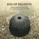 Anne Desmet - Box of Delights