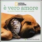 Rachel Buchholz - È vero amore! 24 storie d'amore dal regno animale