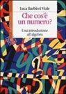 Luca Barbieri Viale - Che cos'è un numero. Un'introduzione all'algebra