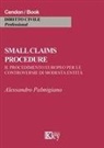 Alessandro Palmigiano - Small claims procedure. Il procedimento europeo per le controversie di modesta entità