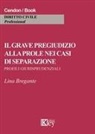 Lina Bregante - Il grave pregiudizio alla prole nei casi di separazione. Profili giurisprudenziali