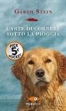 Garth Stein - L' arte di correre sotto la pioggia