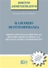 Arcangela Maria Tamburro - Il giudizio di ottemperanza. Profili sostanziali e processuali dell'esecuzione avverso la p.a. dinanzi al giudice amministrativo