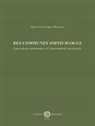 Giovanni Carlo Seazzu - Res communes omnium oggi. Il paradosso dominante e il ripensamento necessario