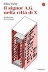 Tibor Déry - Il signor A.G. nella città di X