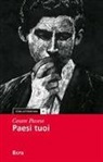 Cesare Pavese, Marzio Toncelli - Paesi tuoi