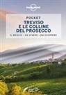 Denis Falconieri - Treviso e le colline del prosecco Pocket