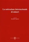 Alessandra Cagnazzo - La sottrazione internazionale di minori