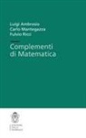 Luigi Ambrosio, Carlo Mantegazza, Fulvio Ricci - Complementi di matematica