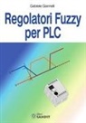 Gabriele Giannelli - Regolatori Fuzzy per PLC