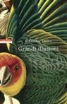Graham Swift - Grandi illusioni