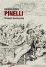 Michele Occhioni, Laura Salerno - Bartolomeo Pinelli. Visioni dantesche