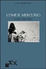 Carla Marcellini - Come il mercurio. Storie di femminismo