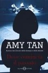 Amy Tan - Dove comincia il passato