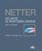 Frank H. Netter - Netter. Atlante di anatomia umana