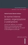Fabrizio Fracchia, Massimo Occhiena - Le norme interne: potere, organizzazione e ordinamenti. Spunti per definire un modello teorico-concettuale generale applicabile anche alle reti, ai social e all'intelligenza artificiale