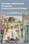 Mark Cheetham, Paul N. Rogers, Danny Rosin, Moshe Schein, Evgeniy E. Perely, Dan Schein... - Chirurgia addominale d'urgenza. Il senso pratico di Schein