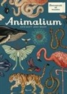 Jenny Broom, Katie Scott - Animalium. Il grande museo degli animali