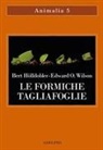 Bert Hölldobler - Le formiche tagliafoglie. La conquista della civiltà attraverso l'istinto