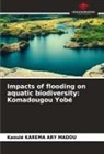 Kaoulé KAREMA ARY MADOU - Impacts of flooding on aquatic biodiversity: Komadougou Yobé