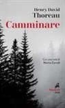 Henry D. Thoreau - Camminare