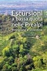 Ennio Poletti - Escursioni a bassa quota nelle Prealpi Trevigiane e Vicentine. 12 percorsi adatti a tutti