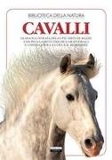 I cavalli