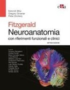 Peter Dockery, Gregory Gruener, Estomih Mtui - Fitzgerald. Neuroanatomia con riferimenti funzionali e clinici