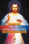 Pasqualino Di Dio - L' ora della divina misericordia. La passione dell'amore crocifisso