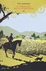 D. H. Lawrence - Il ragazzo nella prateria