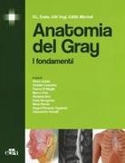 Richard L. Drake, Adam W. Mitchell, A. Wayne Vogl - Anatomia del Gray. I fondamenti