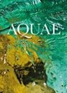 Marco Codutti, Umberto Sarcinelli - Aquae. Ediz. italiana e inglese