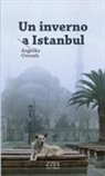 Angelika Overath - Un inverno a Istanbul