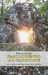 Enrico Calzolari - San Lorenzo al Caprione. Il colle sacro dei ciclamini