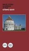 Ottavio Banti - Breve storia illustrata di Pisa