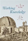 Simon Schaffer, Schaffer Simon, Simon Schaffer, Bigg Charlotte, Charlotte Bigg, John Tresch... - Working Knowledge