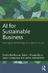 Salem Boumediene, Salma Boumediene, Saeid Homayoun, Zabihollah Boumediene Rezaee, Rezaee Zabihollah - Ai for Sustainable Business