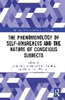Julien Bugnon, Martine Nida-Rümelin, Donnchadh O'Conaill - The Phenomenology of Self-Awareness and the Nature of Conscious Subjects