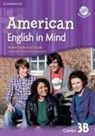 Herbert Puchta, Jeff Stranks - American English in Mind Level 3 Combo B with DVD-ROM