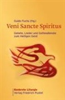 Guido Fuchs - Veni Sancte Spiritus