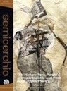 Alessandro De Francesco - The nature-text. Poetics of hyperobjects and post-apocalyptic poetry