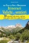 Rosanna Carnisio - Tra Valle di Susa e Brianzonese. Itinerari valichi e sentieri. 30 escursioni nella storia e nell'arte delle vallate della Dora e della Durance