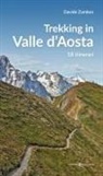Davide Zambon - Trekking in valle d'Aosta. 18 itinerari