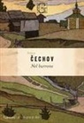 Anton Cechov - Nel burrone