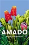 Jorge Amado - In giro per le Americhe