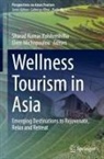 Sharad Kumar Kulshreshtha, Eleni Michopoulou - Wellness Tourism in Asia