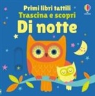 Fiona Watt, Stella Baggott - Di notte. Primi libri tattili. Trascina e scopri